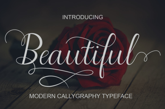 Beautiful Script Font - Featured Image