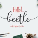 Beetle Duo Font Font - Featured Image