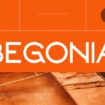 Begonia Font - Featured Image