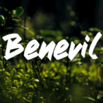 Benevil Font - Featured Image