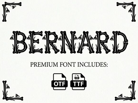 Bernard Font - Featured Image
