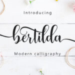 Bertilda Script Font - Featured Image
