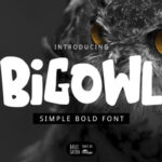 Big Owl Font - Featured Image