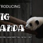 Big Panda Font - Featured Image