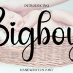 Bigboy Font - Featured Image