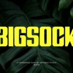 Bigsock Font - Featured Image