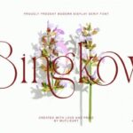 Bingkow Font - Featured Image