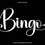 Bingo Font - Featured Image