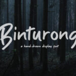Binturong Font - Featured Image