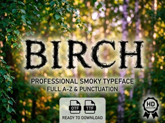 Birch Font - Featured Image