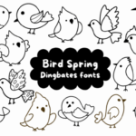 Bird Spring Font - Featured Image