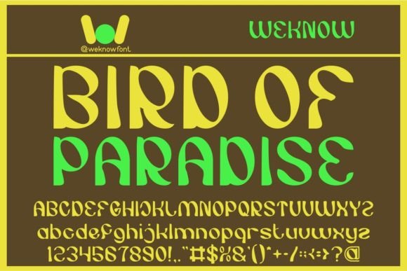 Bird of Paradise Font - Featured Image