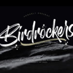 Birdrockers Font - Featured Image