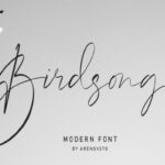 Birdsong Font - Featured Image