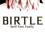 Birtle Font - Featured Image