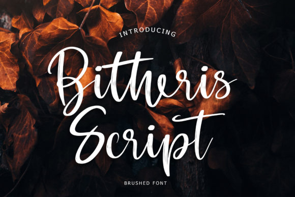 Bitheris Font - Featured Image
