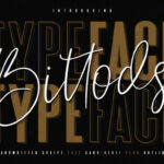 Bittods Duo Font - Featured Image