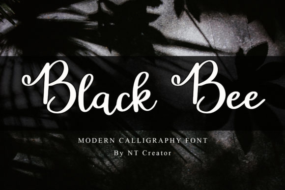 Black Bee Font - Featured Image