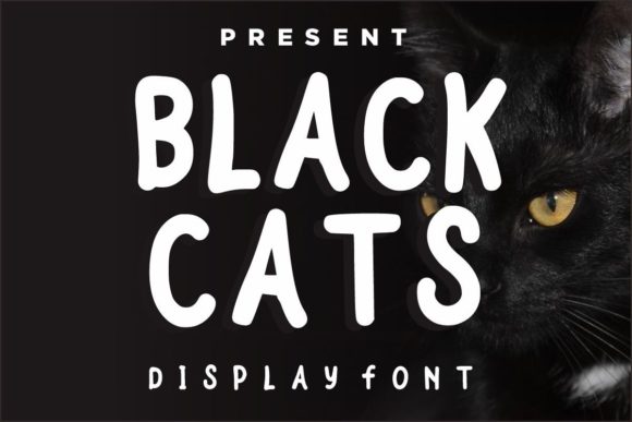 Black Cats Font - Featured Image