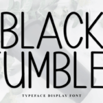 Black Tumbler Font - Featured Image