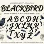 Blackbird Font - Featured Image