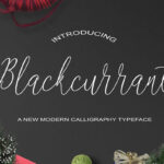 Blackcurrant Font - Featured Image