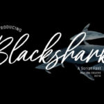 Blacksharks Script Font - Featured Image