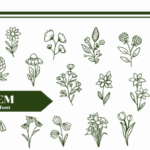 Bloem Font - Featured Image