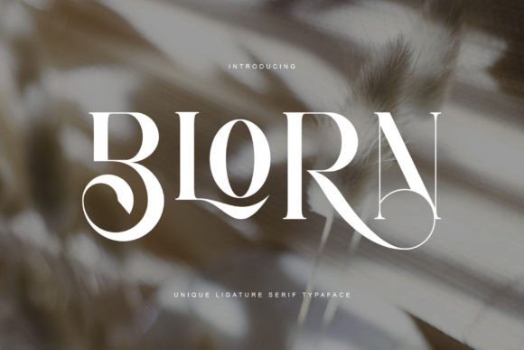 Blorn Font - Featured Image
