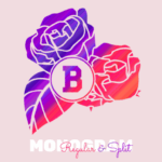 Blossom Font - Featured Image