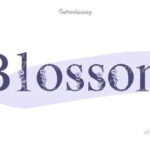 Blossom Font - Featured Image