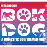 Bok Dog Font - Featured Image