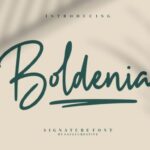 Boldenia Font - Featured Image