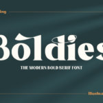 Boldies Font - Featured Image