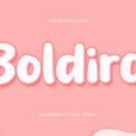 Boldira Font - Featured Image