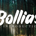 Bollias Font - Featured Image