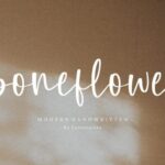 Boneflower Font - Featured Image