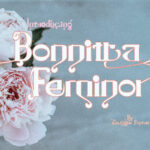Bonnitta Feminor Font - Featured Image