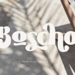Boscho Font - Featured Image
