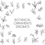 Botanical Ornaments Font - Featured Image