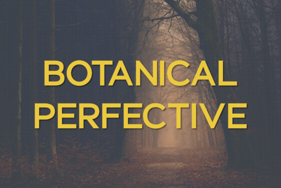 Botanical Perfective Font - Featured Image