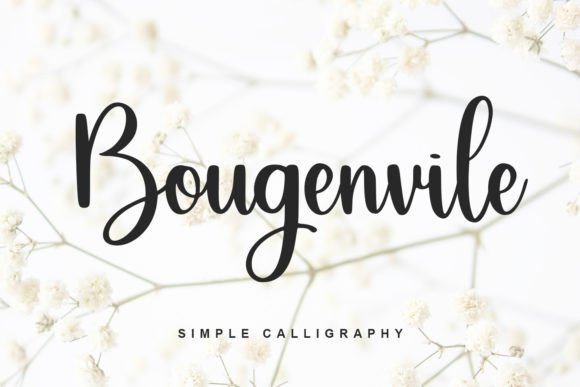 Bougenvile Font - Featured Image