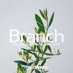 Branch Font - Featured Image