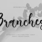 Branches Font - Featured Image