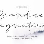Brandise Signature Font - Featured Image