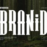 Branid Font - Featured Image