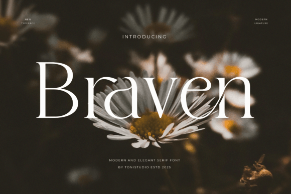 Braven Font - Featured Image