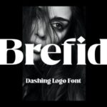 Brefid Font - Featured Image