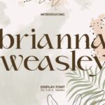 Brianna Weasley Font - Featured Image