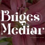 Briges Mediar Font - Featured Image